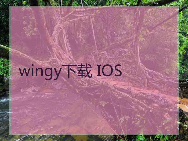 wingy下载 IOS