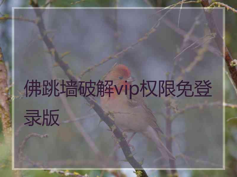 佛跳墙破解vip权限免登录版