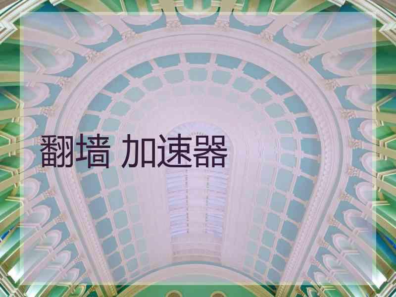 翻墙 加速器
