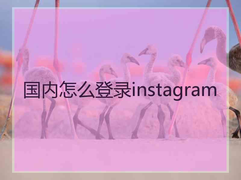 国内怎么登录instagram
