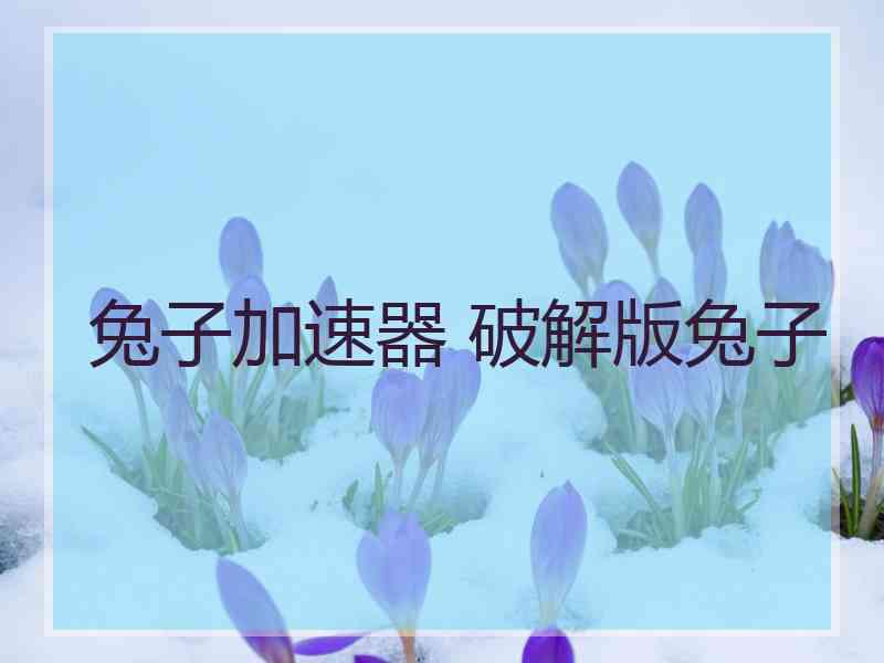 兔子加速器 破解版兔子