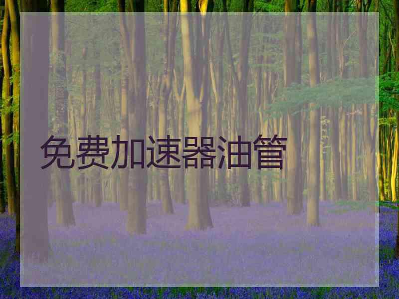 免费加速器油管