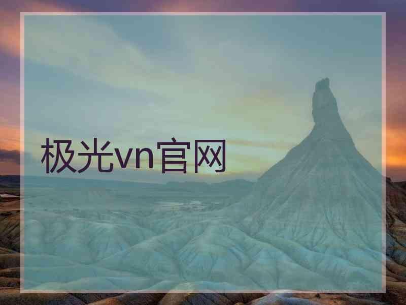 极光vn官网