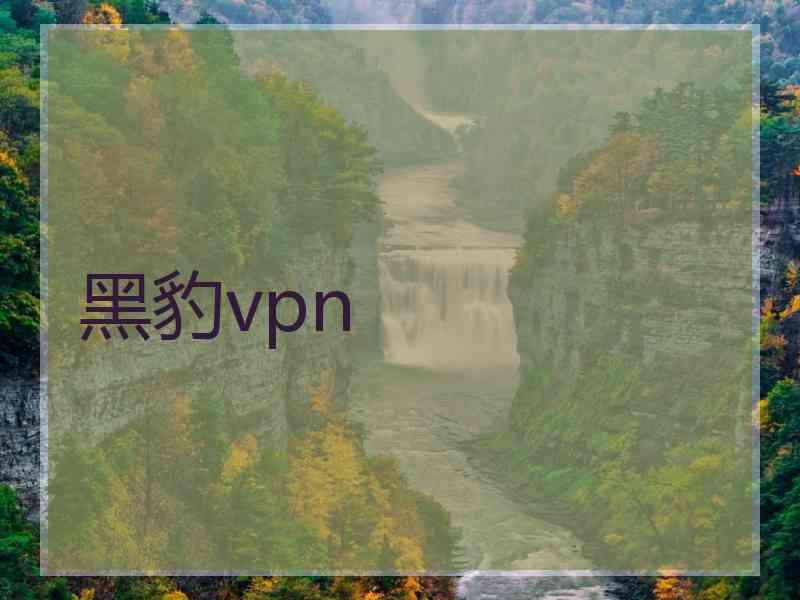 黑豹vpn