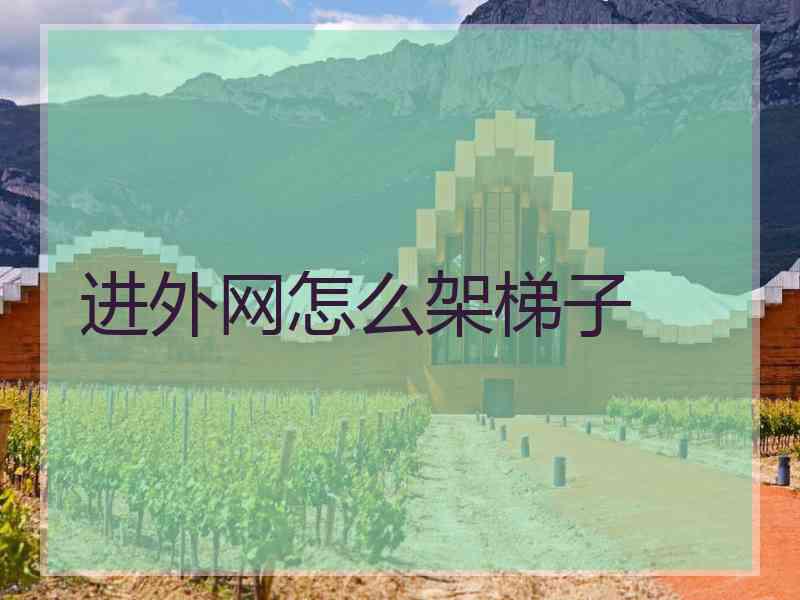 进外网怎么架梯子