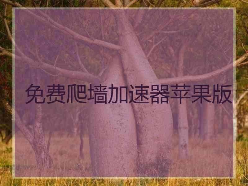免费爬墙加速器苹果版