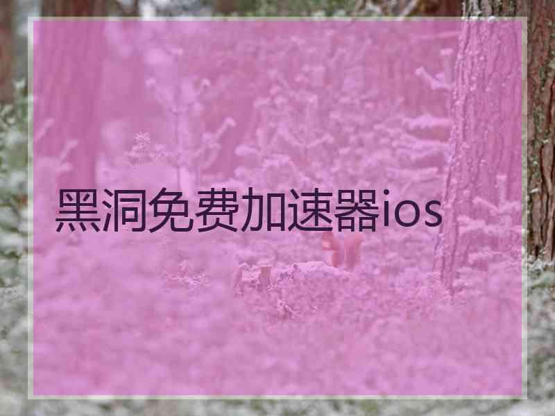 黑洞免费加速器ios