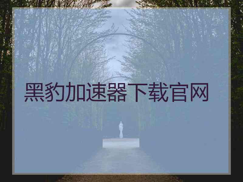 黑豹加速器下载官网