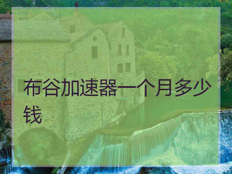 布谷加速器一个月多少钱