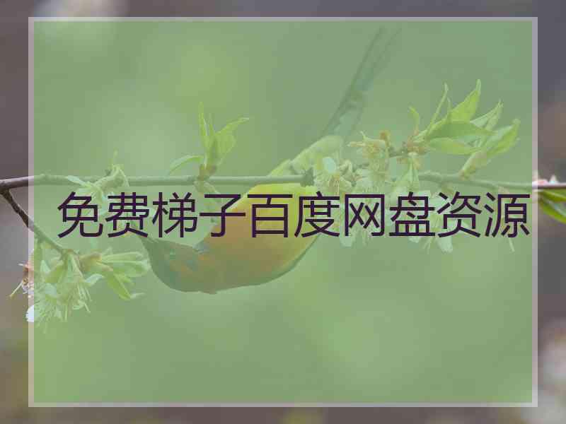 免费梯子百度网盘资源