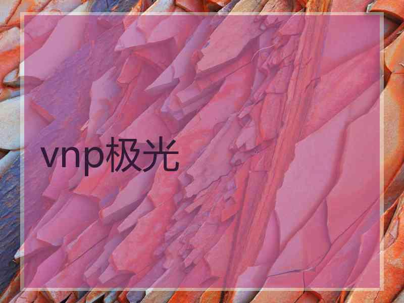 vnp极光