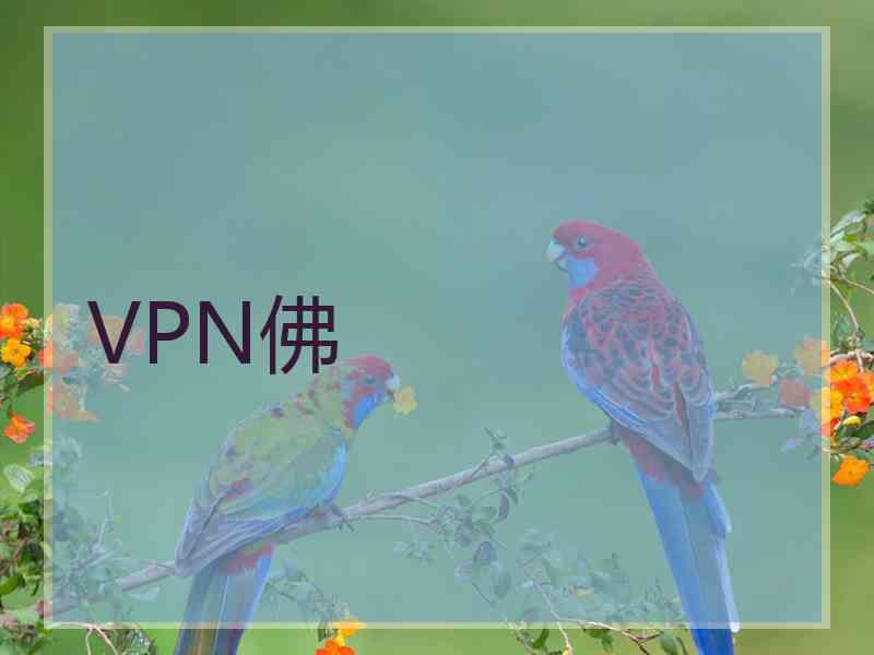 VPN佛