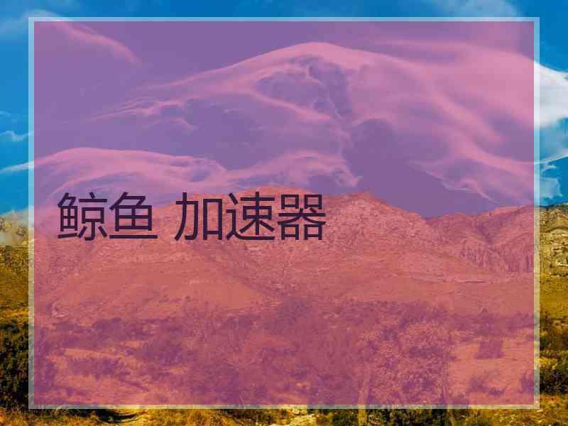 鲸鱼 加速器
