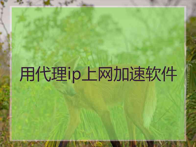 用代理ip上网加速软件