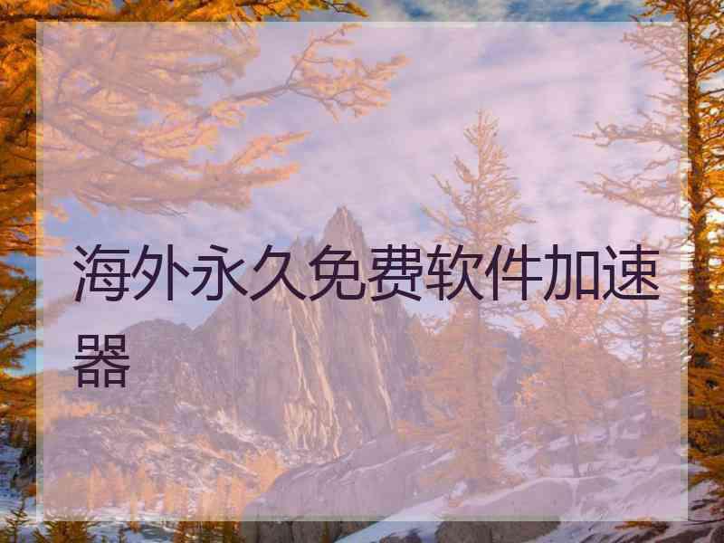 海外永久免费软件加速器