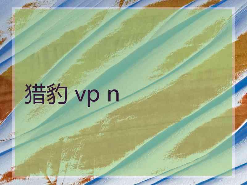 猎豹 vp n
