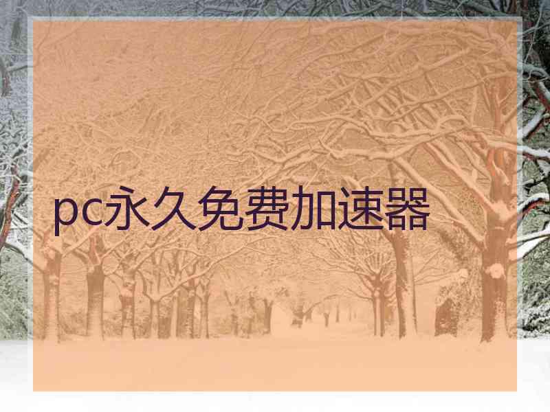 pc永久免费加速器