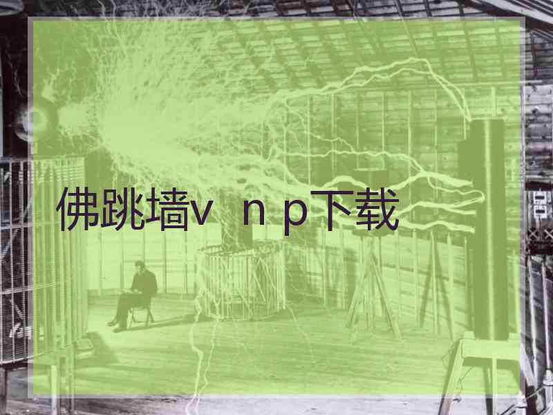 佛跳墙v  n p下载