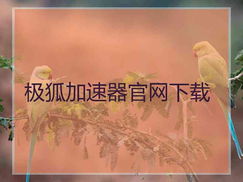 极狐加速器官网下载