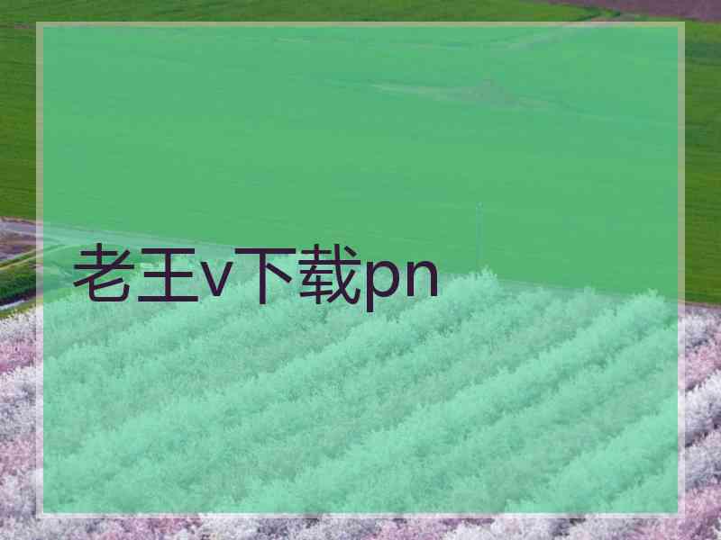 老王v下载pn