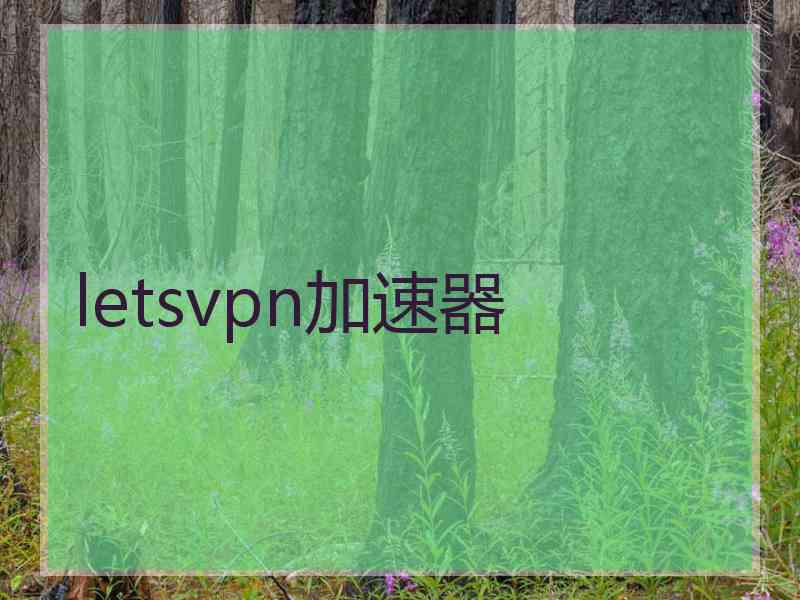 letsvpn加速器