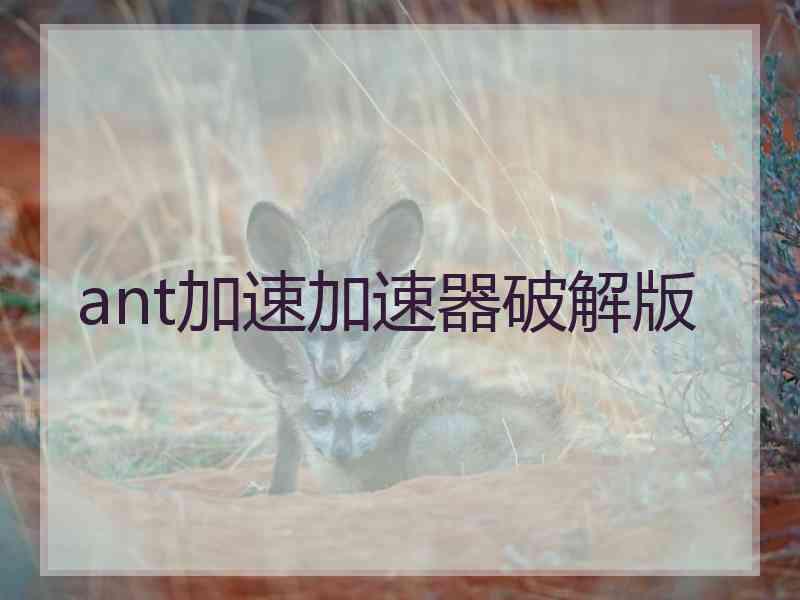 ant加速加速器破解版