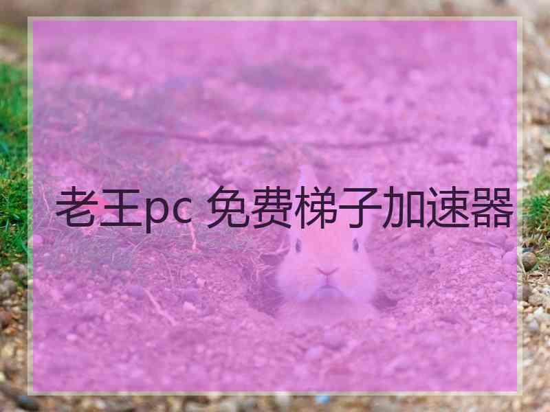 老王pc 免费梯子加速器