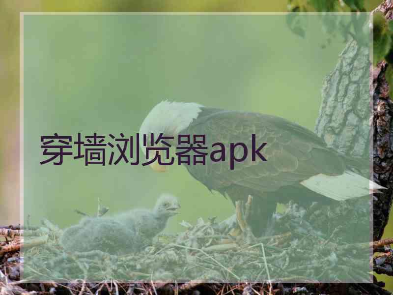 穿墙浏览器apk