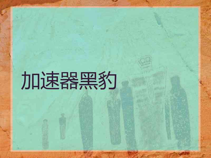 加速器黑豹