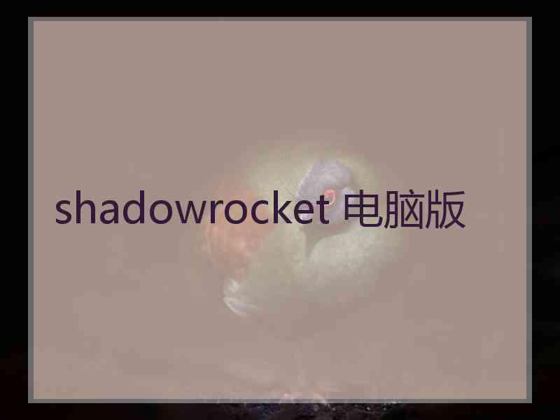 shadowrocket 电脑版