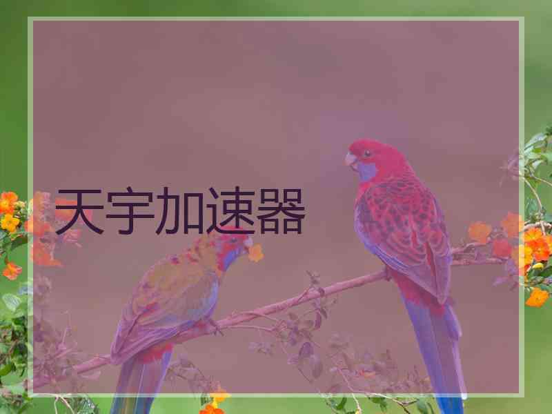 天宇加速器