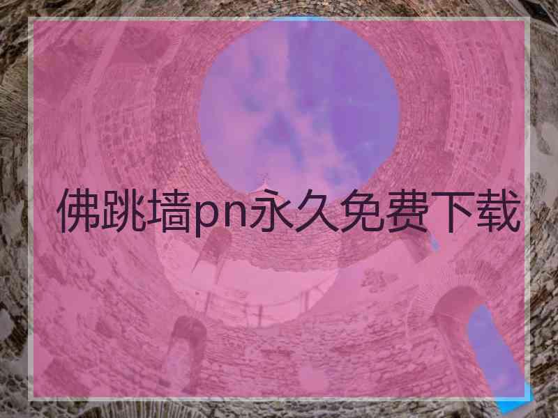 佛跳墙pn永久免费下载