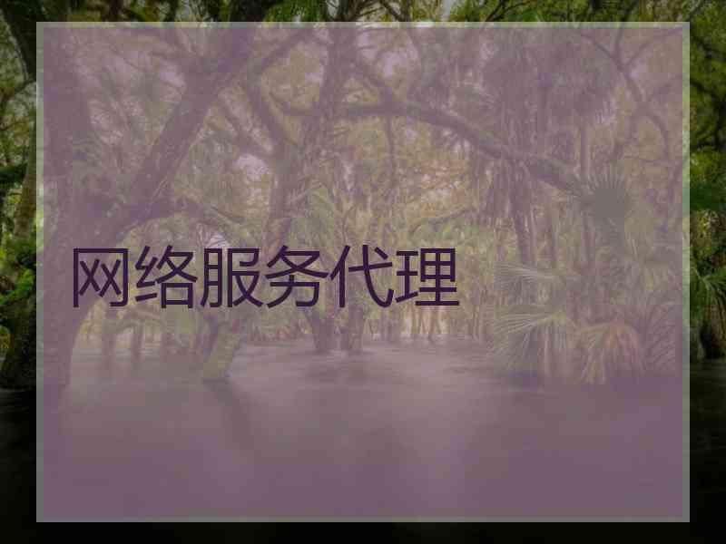 网络服务代理