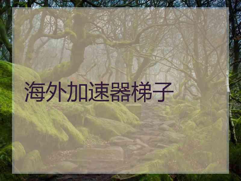 海外加速器梯子