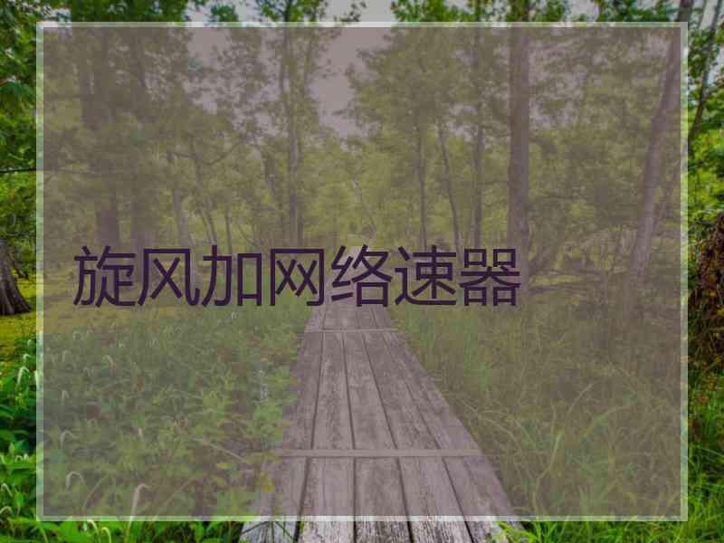 旋风加网络速器