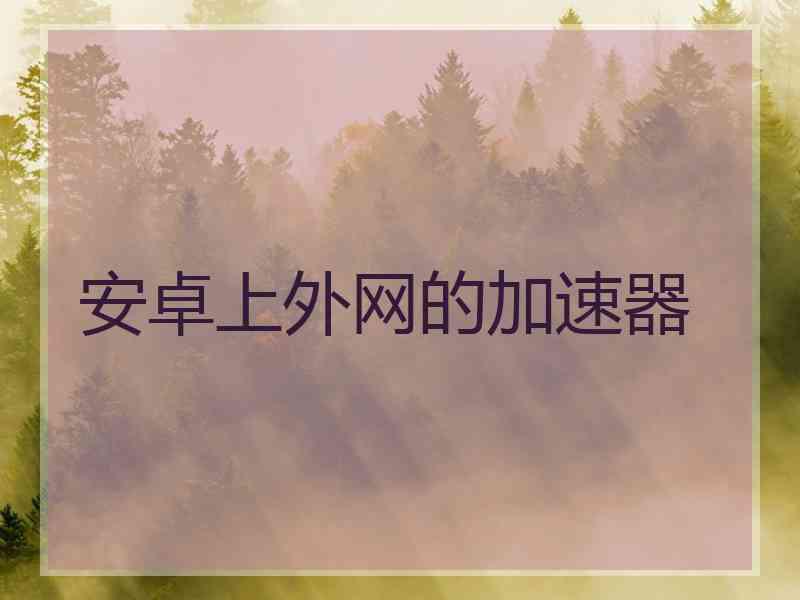 安卓上外网的加速器