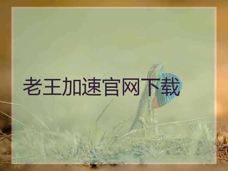 老王加速官网下载