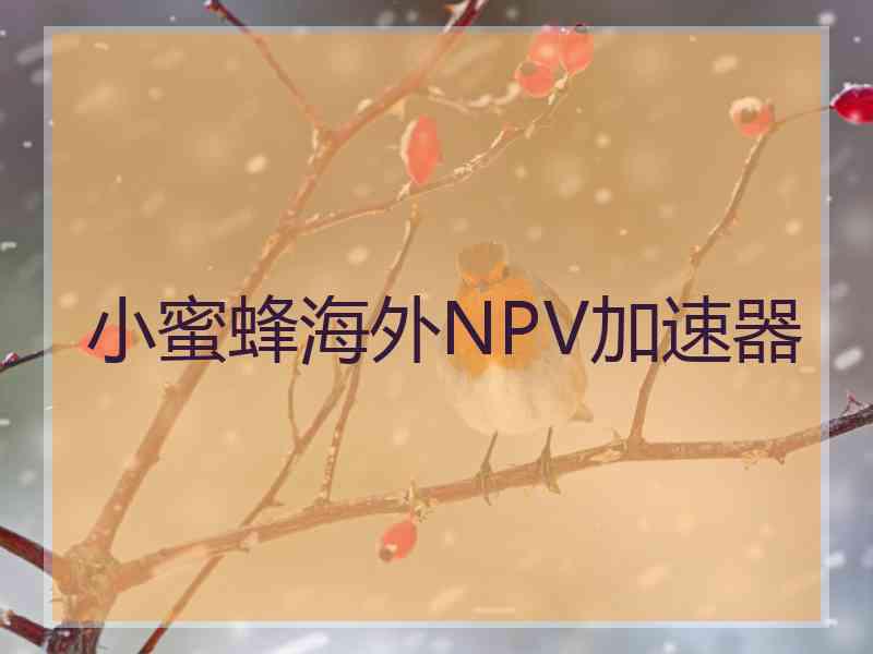小蜜蜂海外NPV加速器