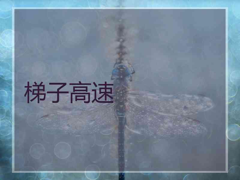 梯子高速