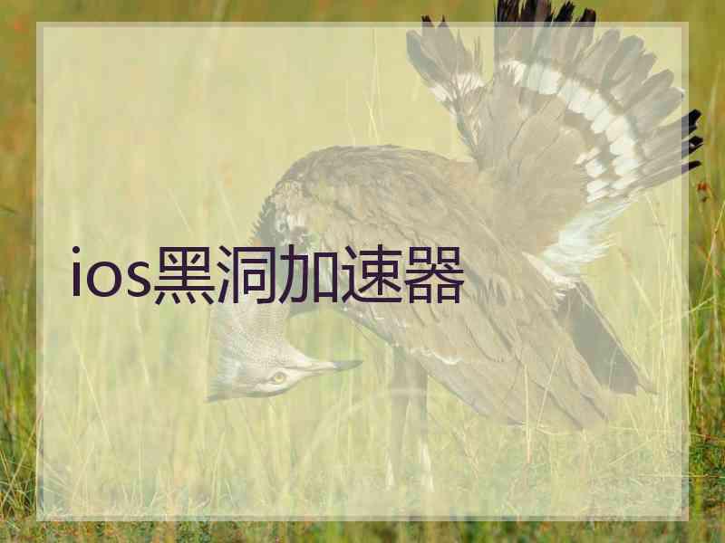ios黑洞加速器