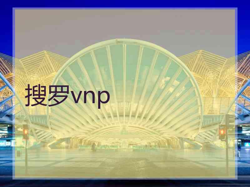 搜罗vnp