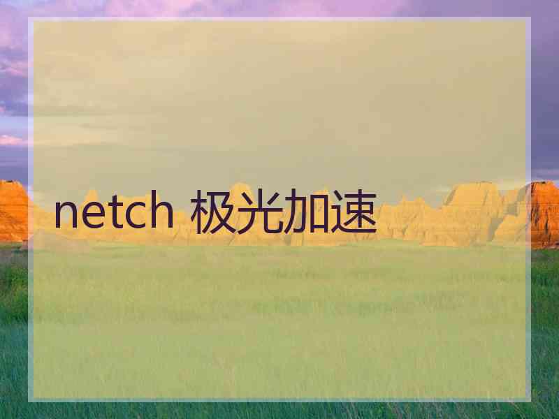 netch 极光加速