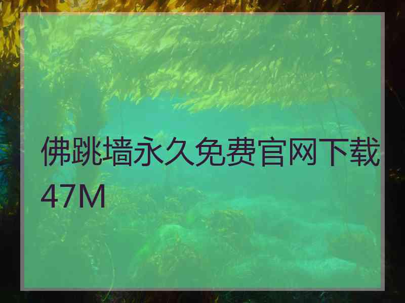 佛跳墙永久免费官网下载47M