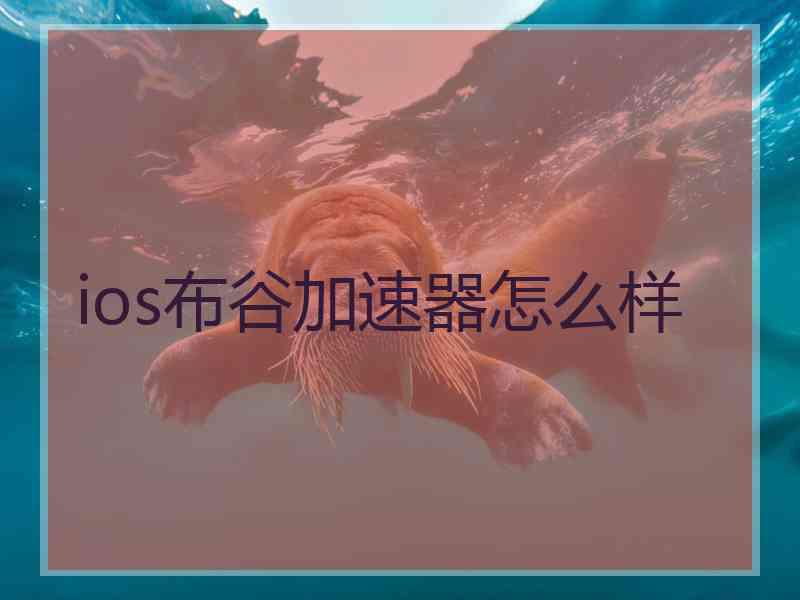 ios布谷加速器怎么样