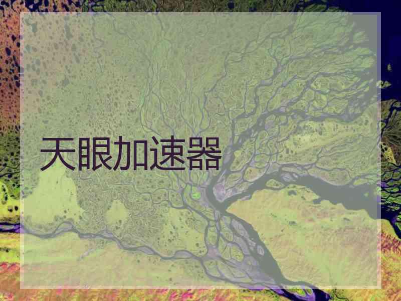 天眼加速器