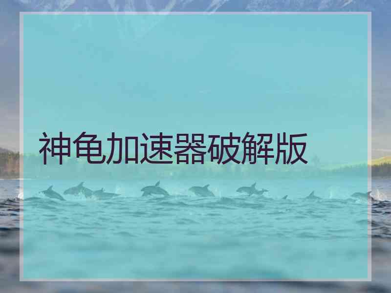 神龟加速器破解版