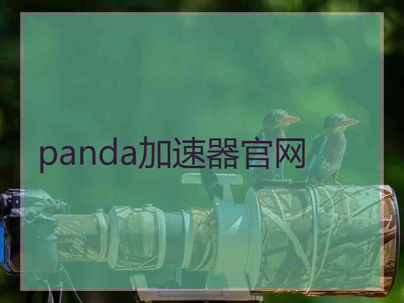 panda加速器官网