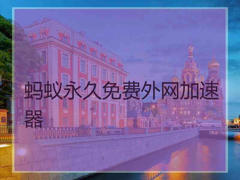 蚂蚁永久免费外网加速器