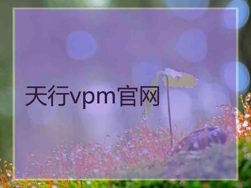 天行vpm官网