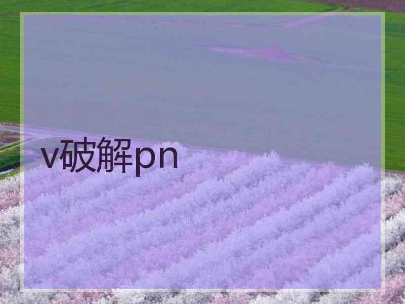 v破解pn